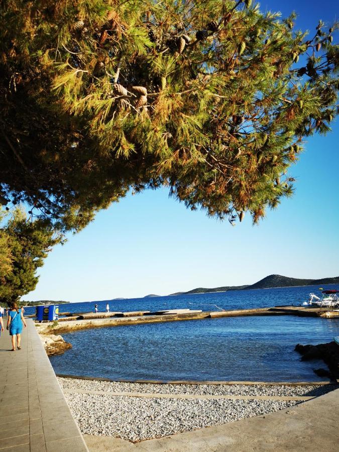 Bella Dalmatia Apartman Srima Kültér fotó